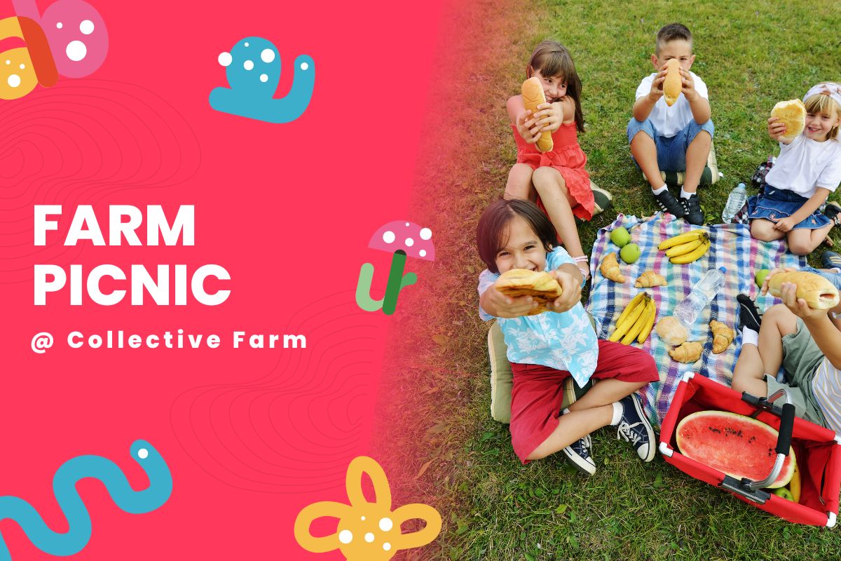 Farm Picnic @ The Farm Collective