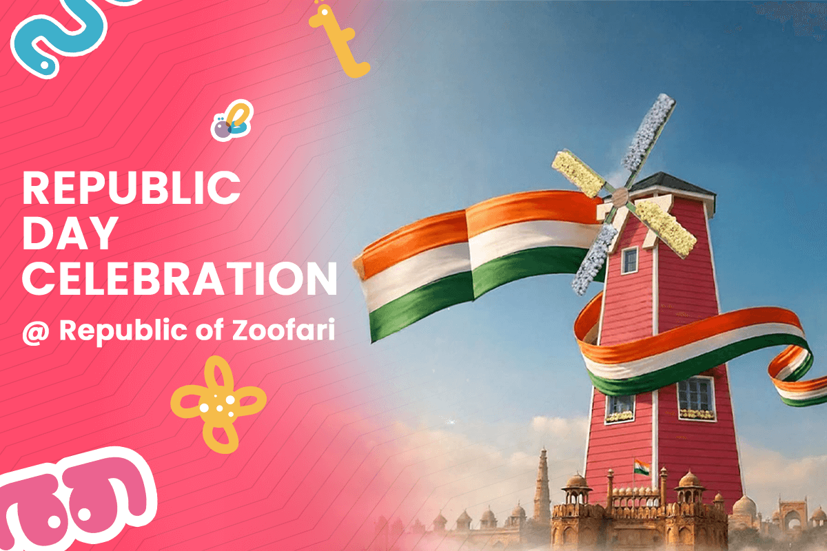 K-POP Karnival @ Kosmic Kingdom - Sector 66, M3M IFC